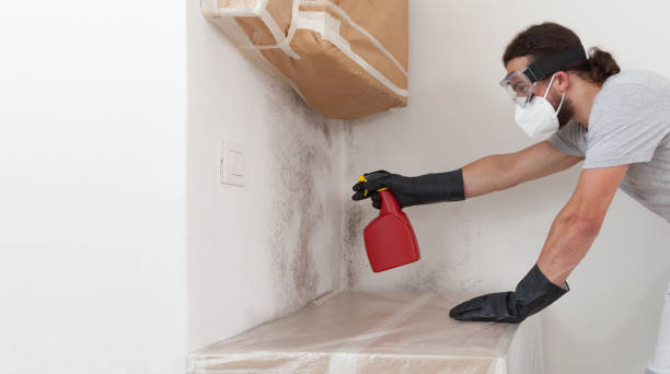 Professional Bathroom Mold Removal technician working in Bayport, MN